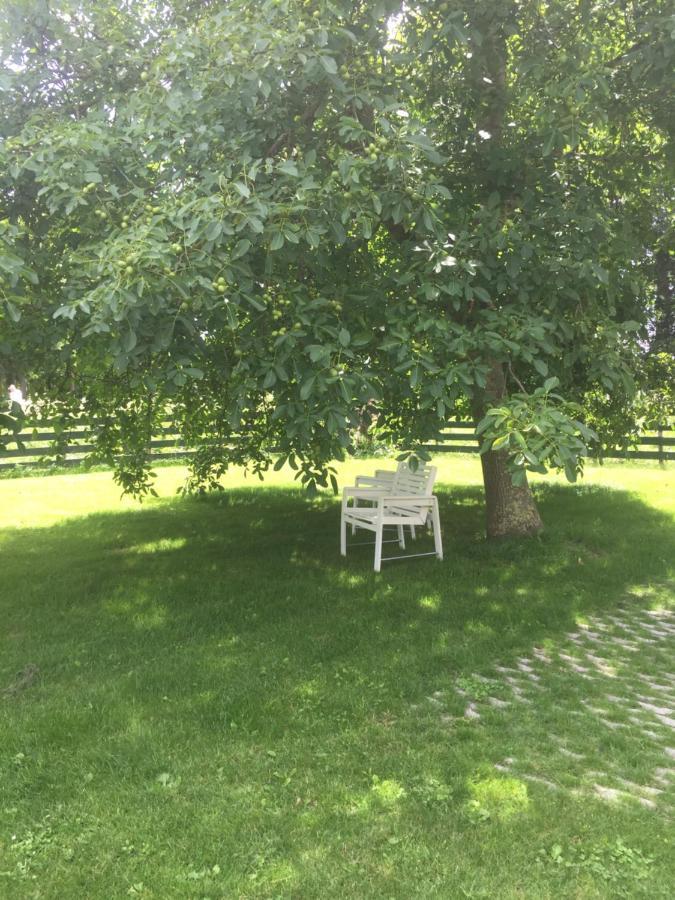 Lekerweg 32 Leilighet Wijdenes Eksteriør bilde