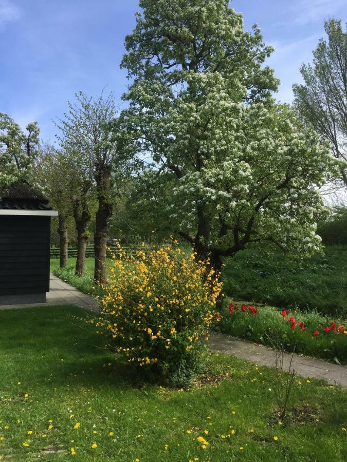 Lekerweg 32 Leilighet Wijdenes Eksteriør bilde
