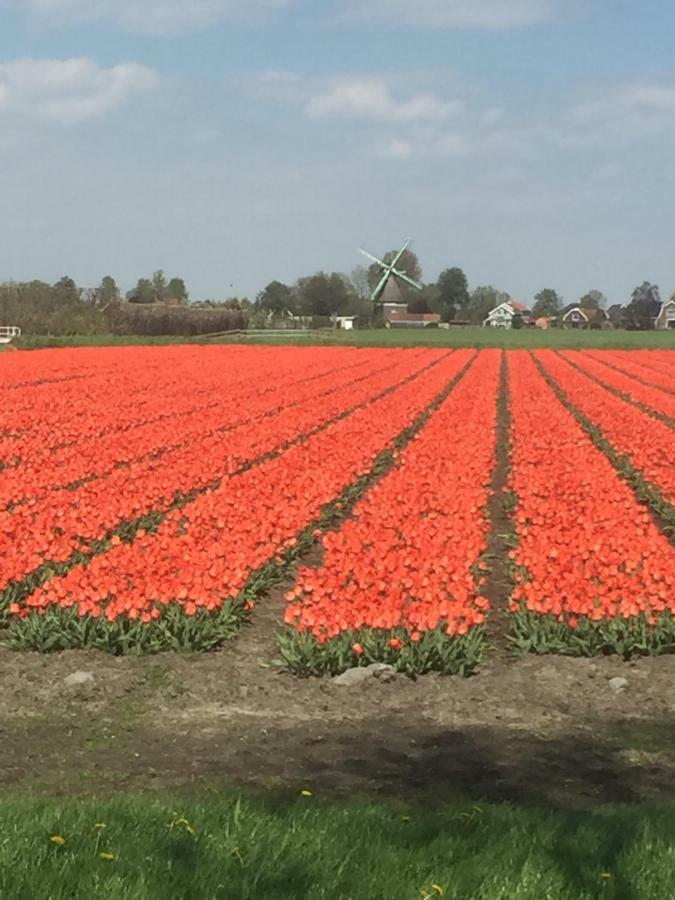 Lekerweg 32 Leilighet Wijdenes Eksteriør bilde